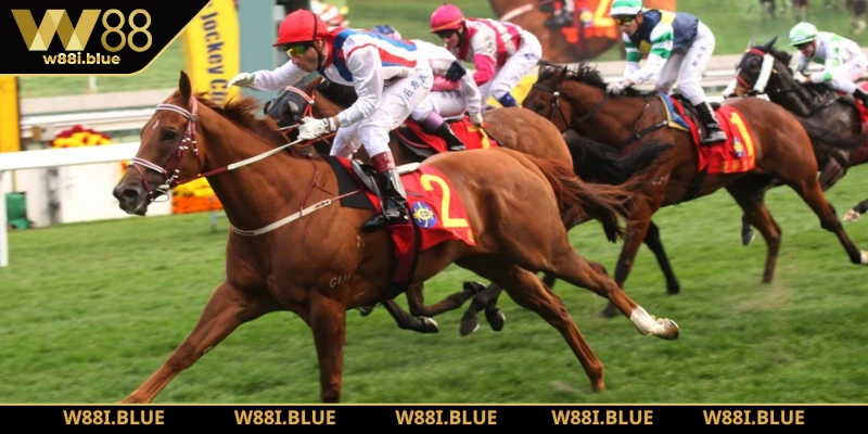 Cá độ đua ngựa online gay cấn